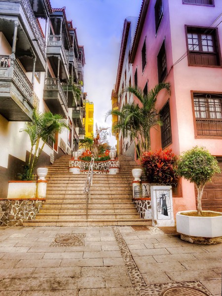 Charming Steps of Tenerife Picture Board by Beryl Curran
