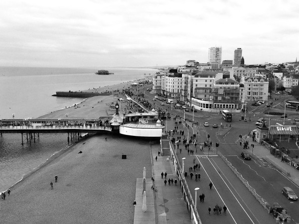 Brighton seafront From Above  Picture Board by Beryl Curran