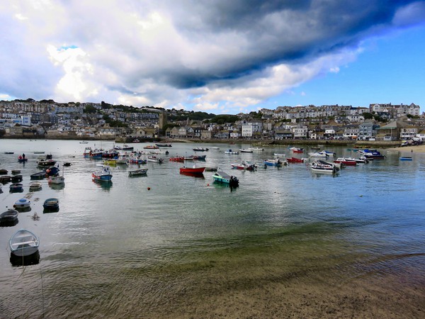 Brooding Skies Over St Ives Picture Board by Beryl Curran