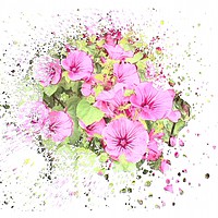 Buy canvas prints of Pink Confetti Explosion by Beryl Curran