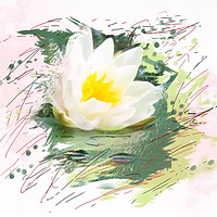 Buy canvas prints of Water lily  by Beryl Curran