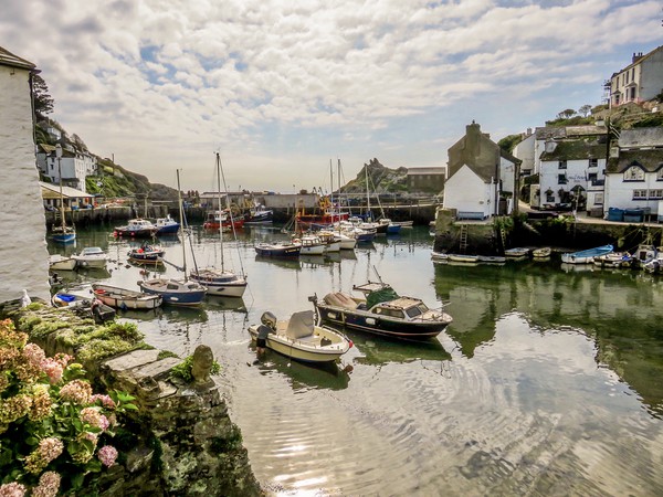 Discover the Charming Beauty of Polperro Picture Board by Beryl Curran