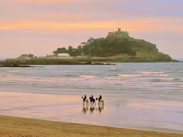 Horses on the beach. St Michael’s Mount  Picture Board by Beryl Curran