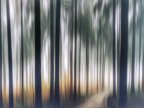 Mystical Journey through the Forest ICM Picture Board by Beryl Curran