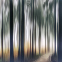 Buy canvas prints of Mystical Journey through the Forest ICM by Beryl Curran