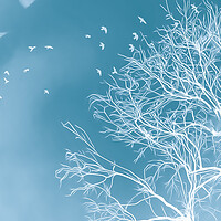 Buy canvas prints of Winters Mystical Tree by Beryl Curran