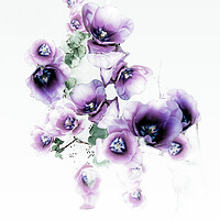 Buy canvas prints of Purple Delight  by Beryl Curran