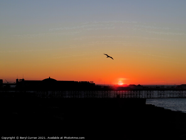 Majestic Sunrise at Palace Pier Picture Board by Beryl Curran