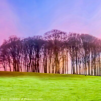 Buy canvas prints of Dramatic sunset Nearly home Trees. Cookworthy Knap by Beryl Curran