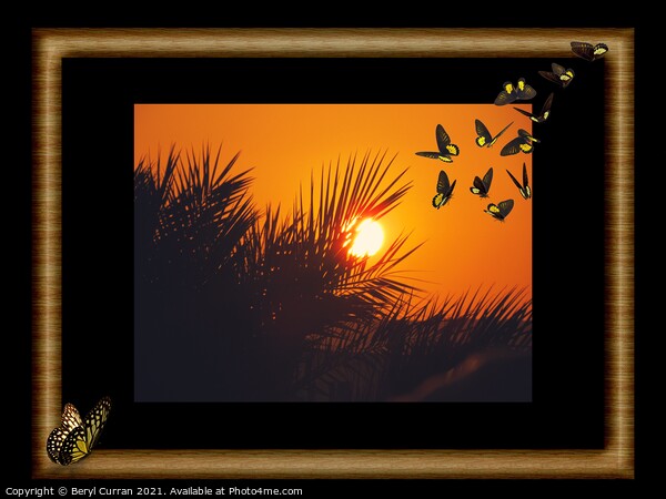 Serenity at Sunset Picture Board by Beryl Curran