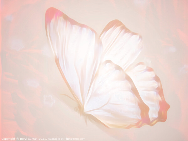 Fluttering Beauty Picture Board by Beryl Curran