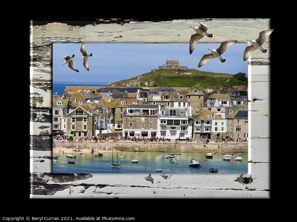 Majestic Seagulls Soaring over St Ives Picture Board by Beryl Curran