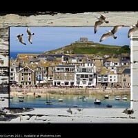 Buy canvas prints of Majestic Seagulls Soaring over St Ives by Beryl Curran