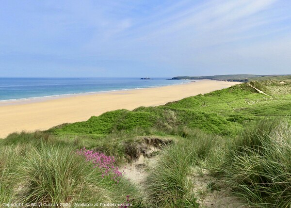 Golden Dunes of Gwithian Picture Board by Beryl Curran