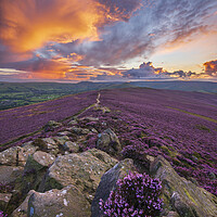 Buy canvas prints of Win Hill purple sunset  by John Finney