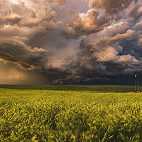 Buy canvas prints of Montana stormy sunset over yellow rapeseed by John Finney