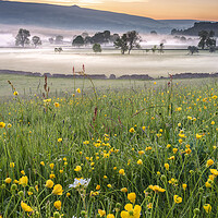 Buy canvas prints of Meadows and Mist, Hope Valley by John Finney