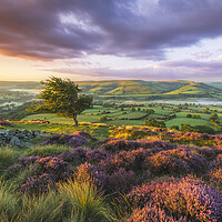 Buy canvas prints of Purple landscape of the Peak District  by John Finney