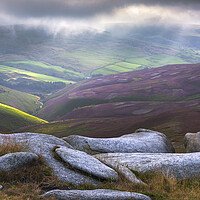 Buy canvas prints of Sea Lions on Kinder Scout by John Finney