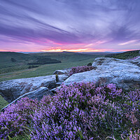 Buy canvas prints of Wild purple heather on Burbage moor  by John Finney