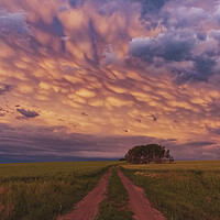 Buy canvas prints of Mammatus red sunset by John Finney