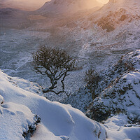 Buy canvas prints of Winter Skye by John Finney