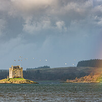 Buy canvas prints of Castle Stalker flyby ducks and a rainbow by John Finney
