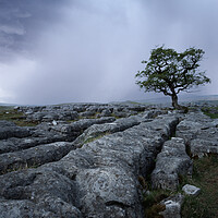 Buy canvas prints of Winskill stones moody storm. Yorkshire Dales.  by John Finney