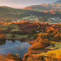 Buy canvas prints of Loughrigg Tarn with warm light by John Finney