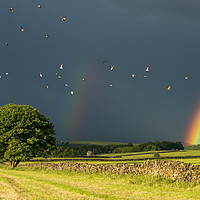 Buy canvas prints of Monyash rainbow, Derbyshire. by John Finney