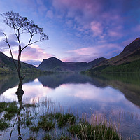 Buy canvas prints of Buttermere tree, English Lake District. by John Finney