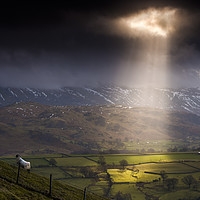 Buy canvas prints of Light from Above. Keswick, Cumbria. UK. by John Finney