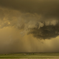 Buy canvas prints of Mesocyclone, Pampa, Texas  by John Finney