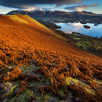 Buy canvas prints of Skelgill Bank first light  by John Finney