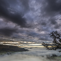 Buy canvas prints of Crooked Tree dawn by John Finney