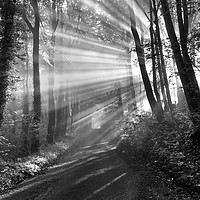 Buy canvas prints of Crepuscular rays (black and white).  by John Finney