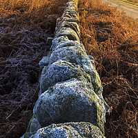 Buy canvas prints of Frosty wall at sunrise by John Finney