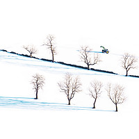 Buy canvas prints of Winter trees  by John Finney