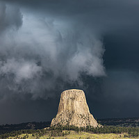 Buy canvas prints of Close Encounters by John Finney