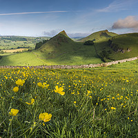 Buy canvas prints of Buttercups and Parkhouse Hill by John Finney