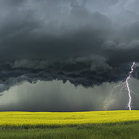 Buy canvas prints of The Saskatoon Storm  by John Finney