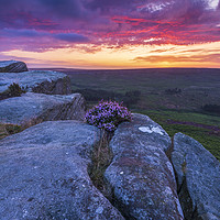 Buy canvas prints of Peak District Purple Sunrise  by John Finney