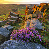 Buy canvas prints of Peak District Purple Sunrise by John Finney