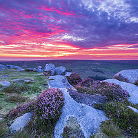 Buy canvas prints of Purple heather at sunrise on Higger Tor.  by John Finney