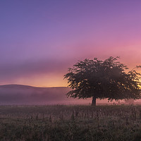 Buy canvas prints of Perry Dale Moody Dawn, Derbyshire Dales. by John Finney