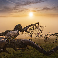 Buy canvas prints of The Fallen. Sunrise over Fog. High Peak.  by John Finney