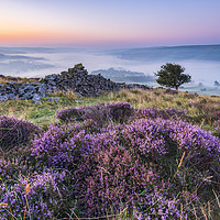 Buy canvas prints of Purple Landscape of the Peak District by John Finney