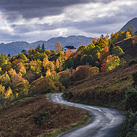 Buy canvas prints of Autumnal Lake District by John Finney