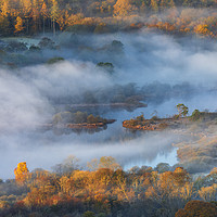 Buy canvas prints of Elterwater Autumn sunrise by John Finney
