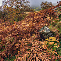 Buy canvas prints of Autumnal Landscape of the Peak District  by John Finney